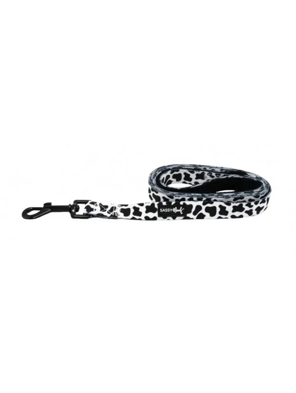 (RGB1) Sassy Woof Whole Milk Dog Leash 6ft x 3/4in Cotton Webbing Walking NWT